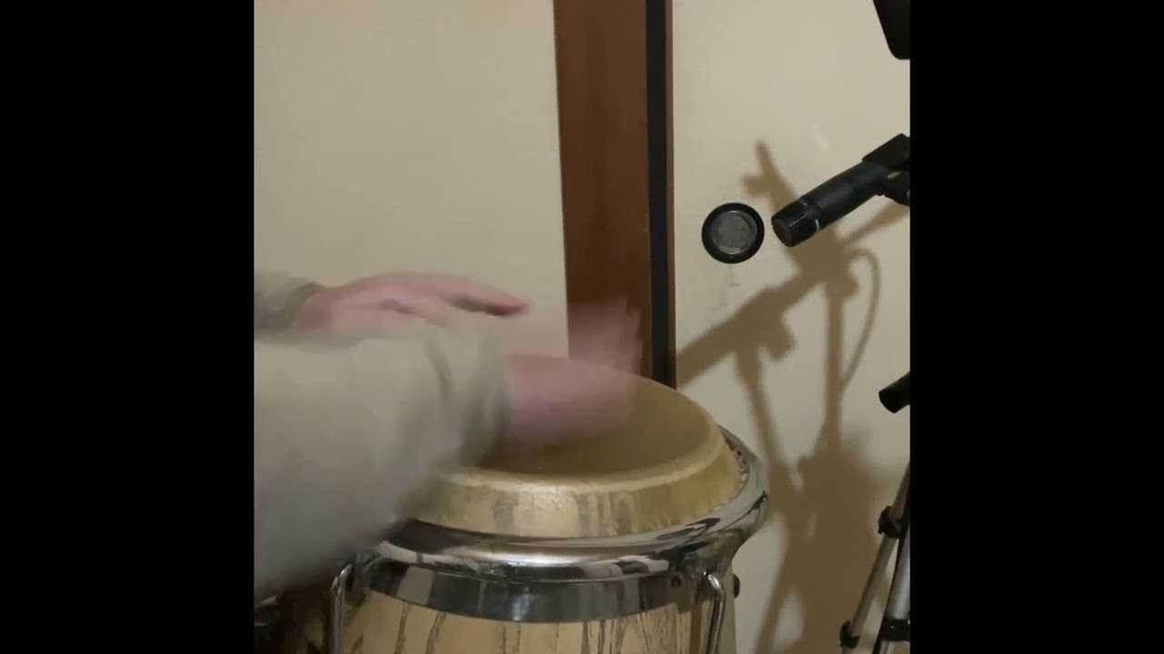 conga 8