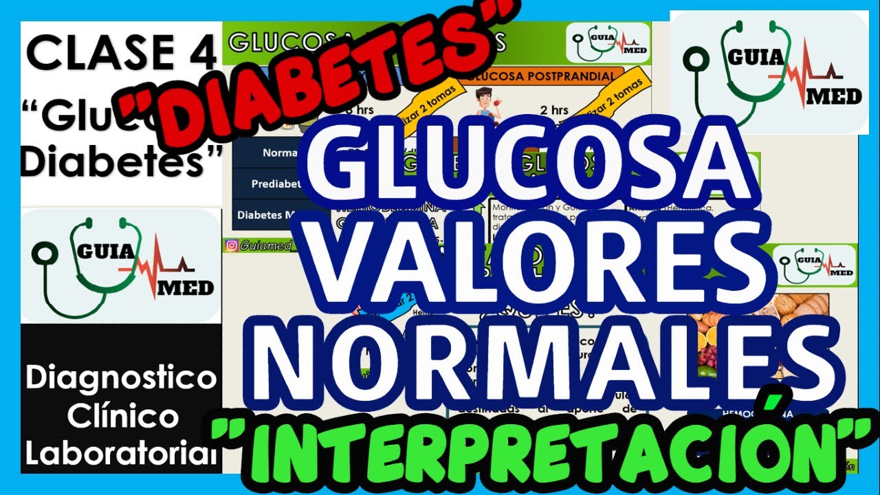 VALORES DE GLUCOSA EN SANGRE ANTES Y DESPUÉS DE COMER | GuiaMed