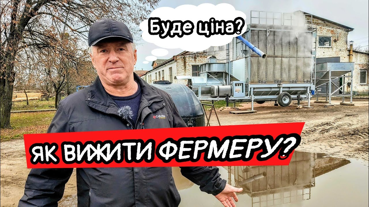Кукурудза росте! Як зберегти зерно фермерам до 50га? Зібрались і орендували зерносушарку
