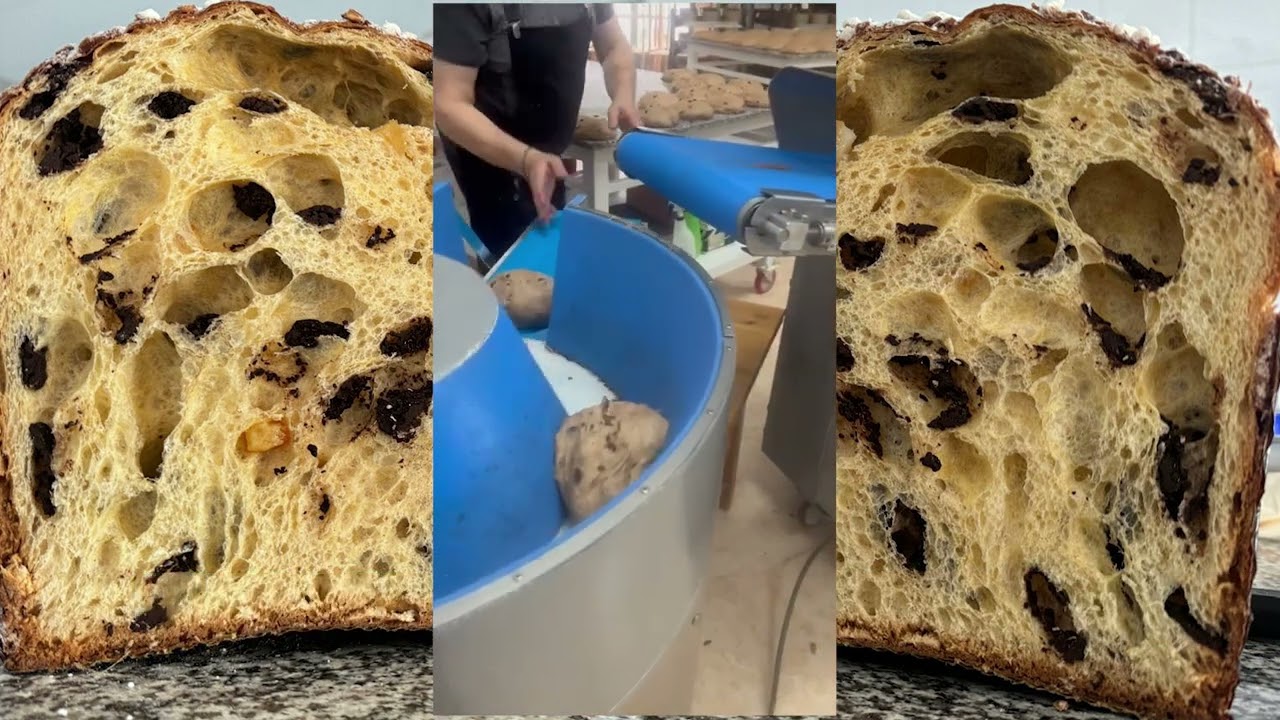 DSF panettone Colbake