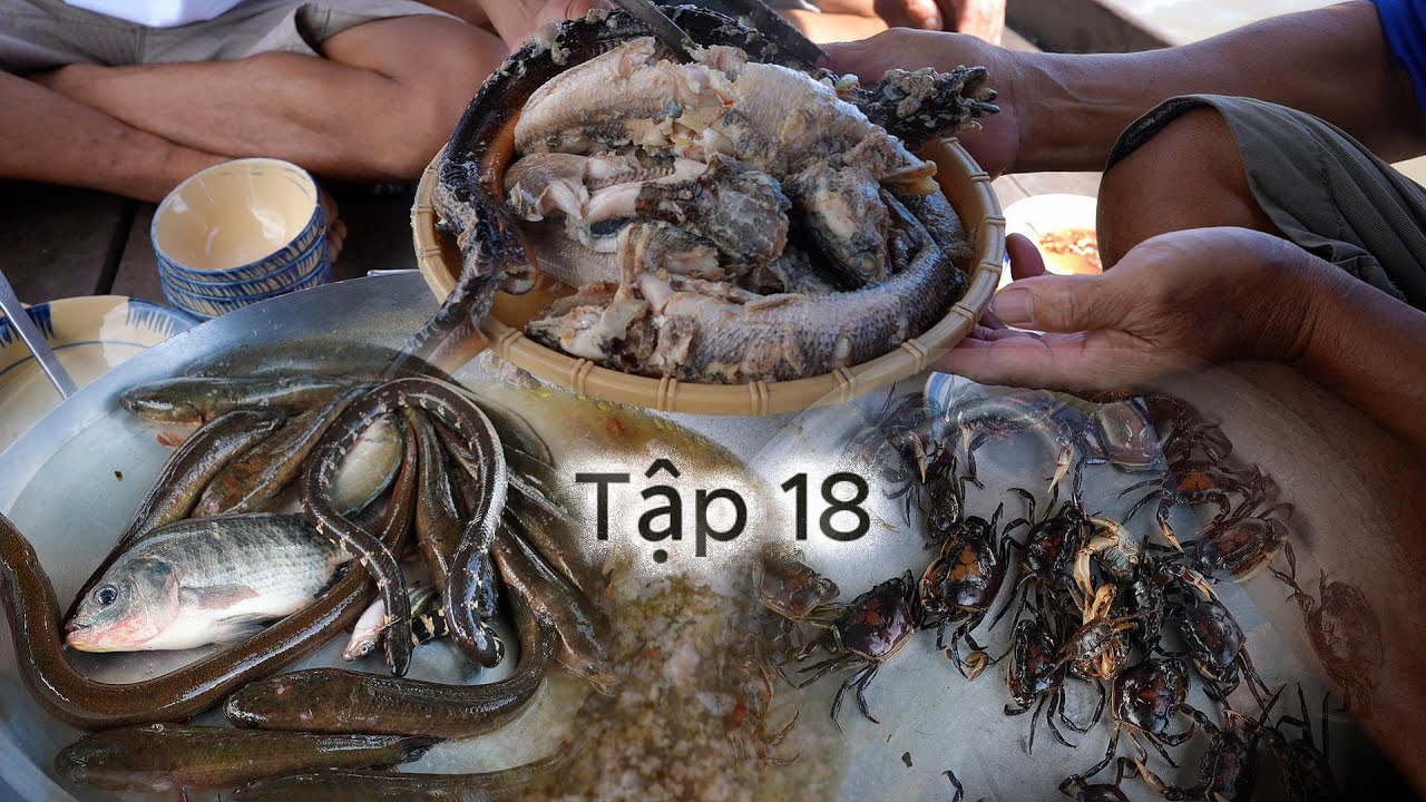 cuộc sống 