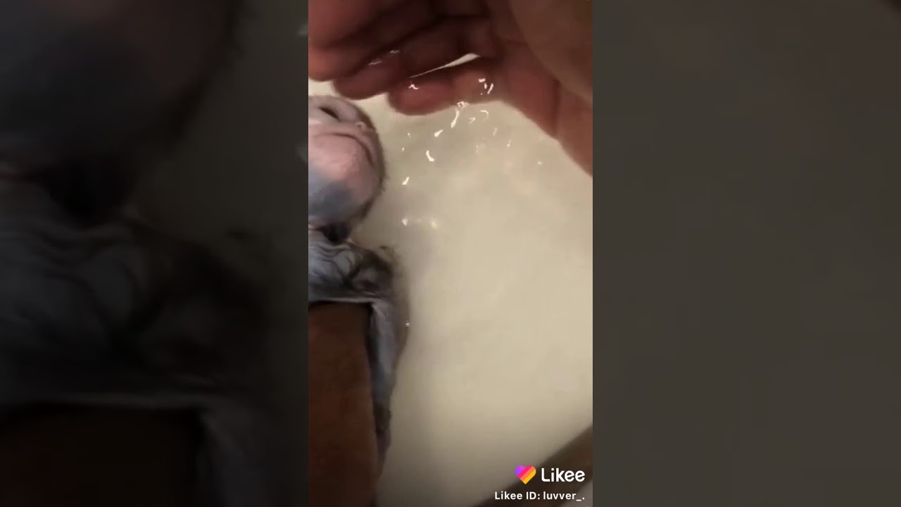 Taking a bath