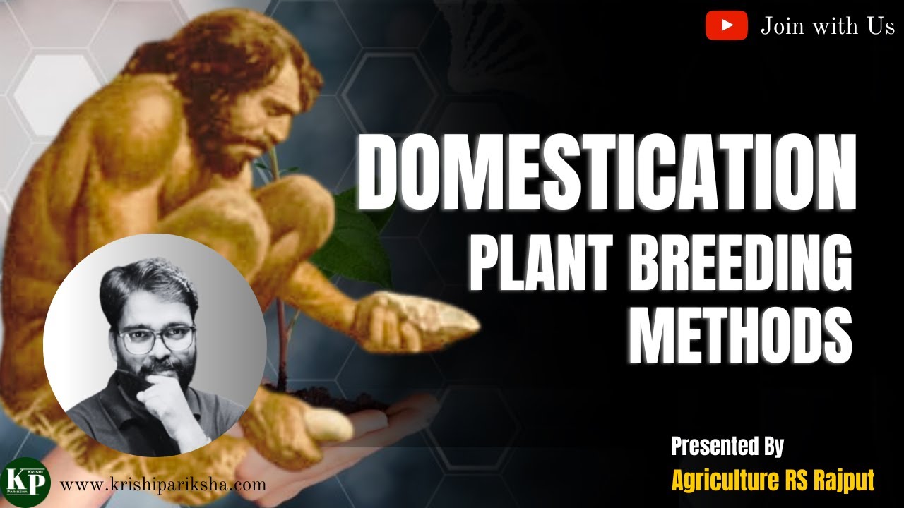 What is Domestication in Plant Breeding | Plant Breeding Methods
