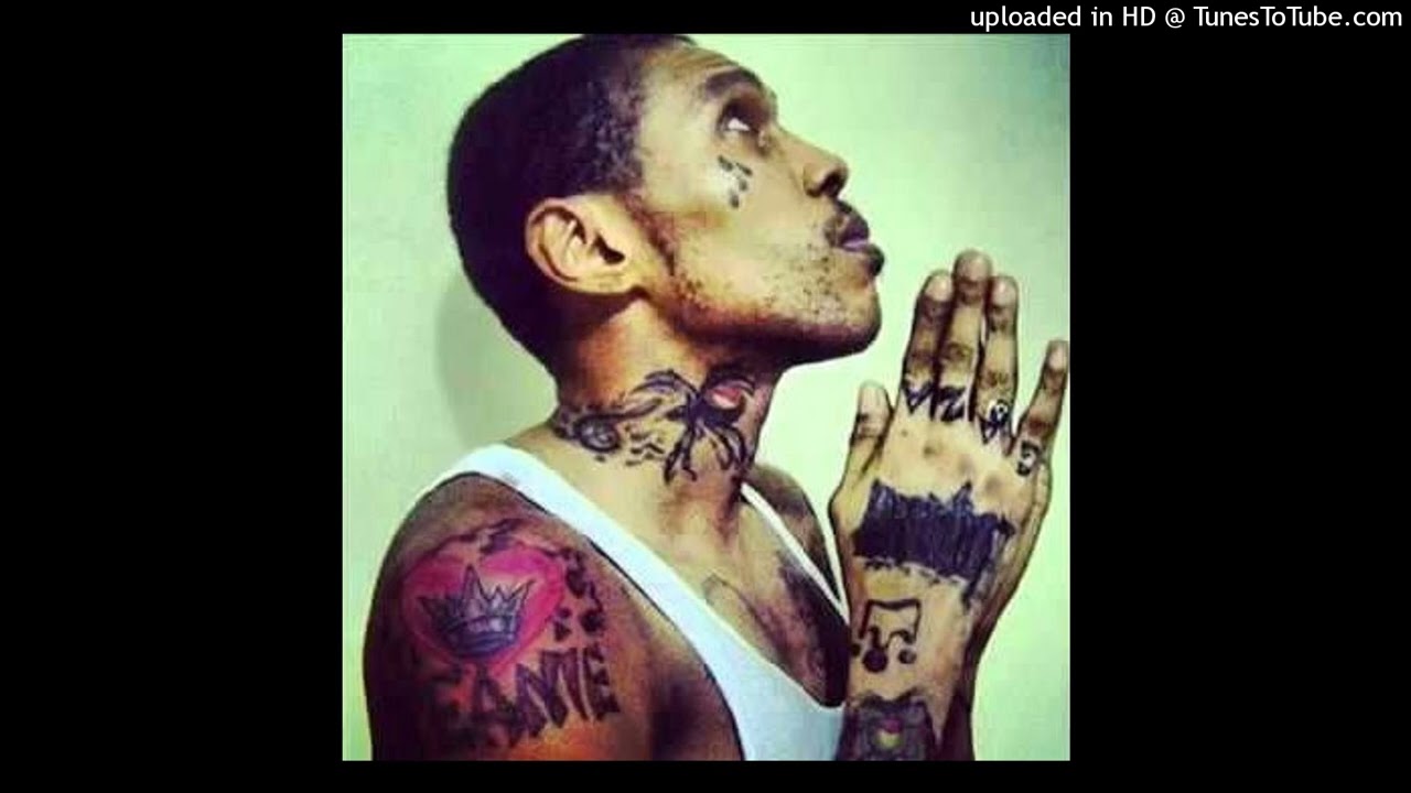 Dreiip Samples Feb ‘26