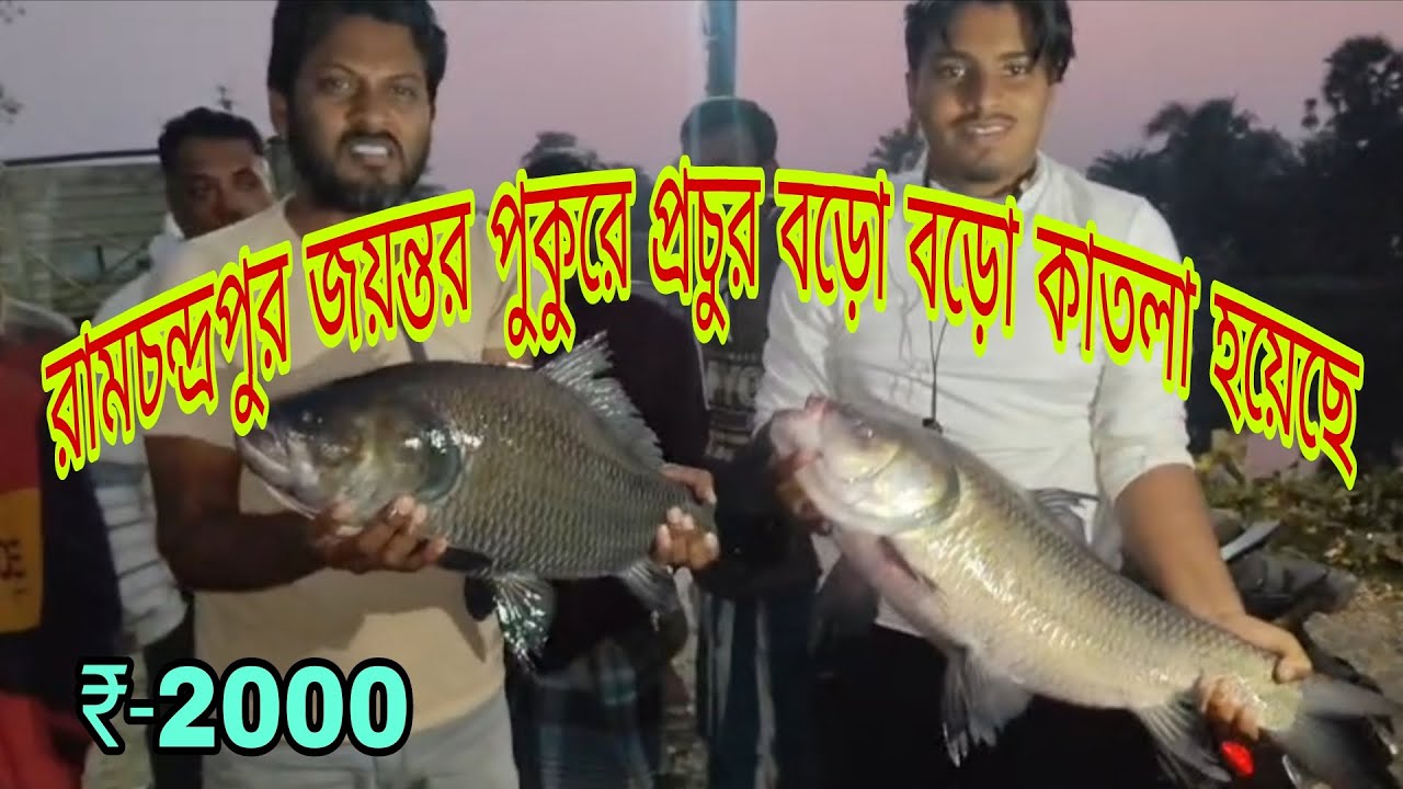 Strong fishing 🎣 hook fishing 🎣 viral# like// share// comment// subscribe 