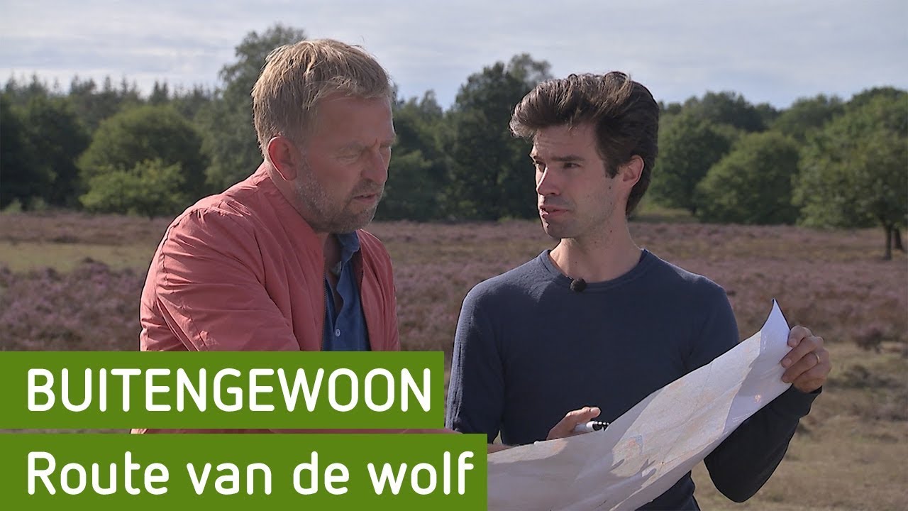De route van de wolf | BuitenGewoon