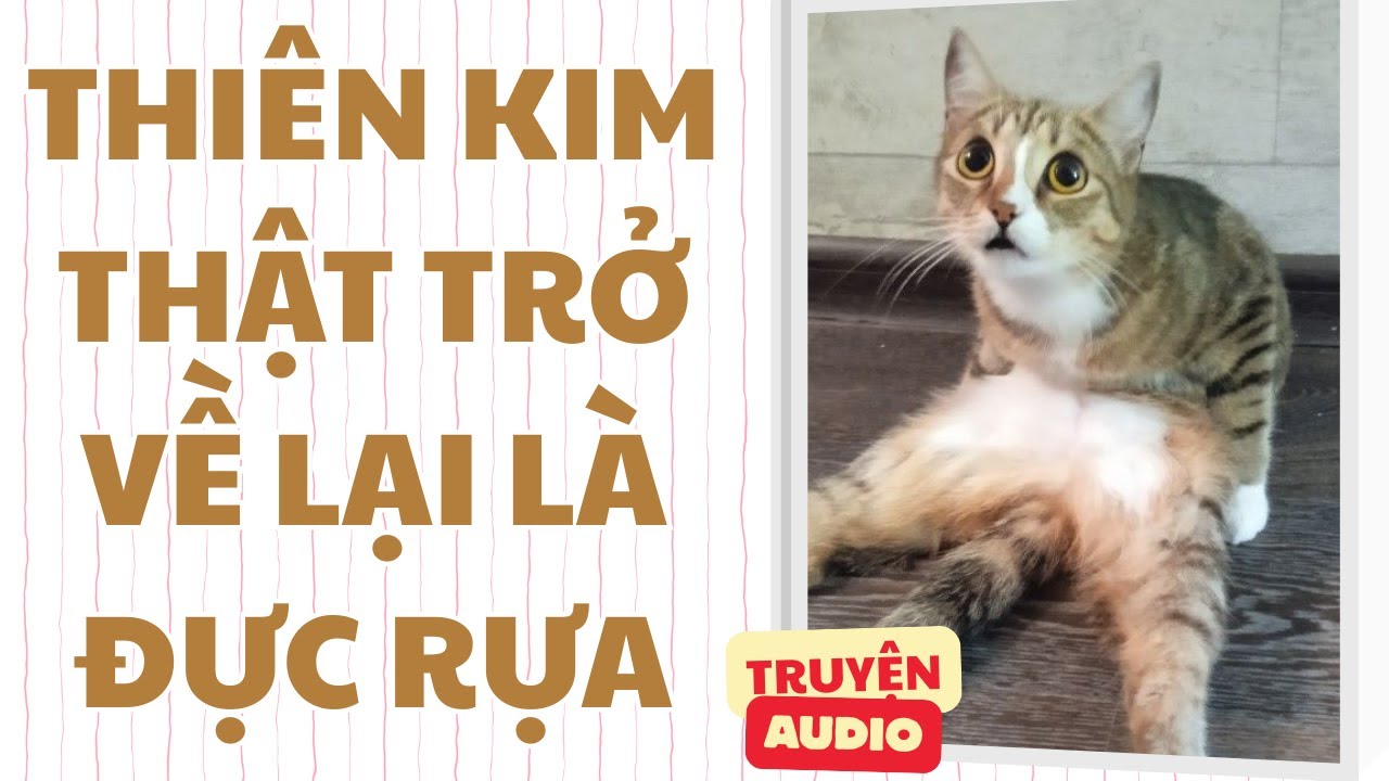 Truyện audio - [FULL] THIÊN KIM THẬT TRỞ VỀ LẠI LÀ ĐỰC RỰA - [SORA NÓNG NẢY]
