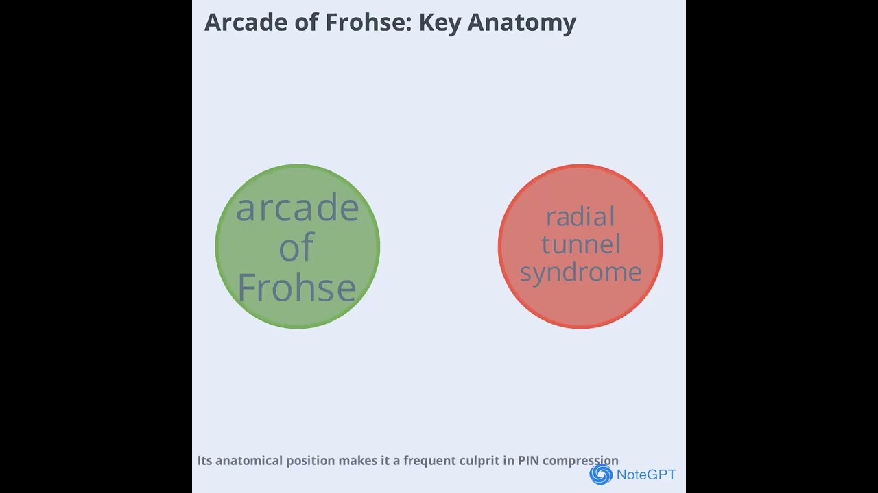 PIN POSTERIOR INTEROSSEOUS NERVE