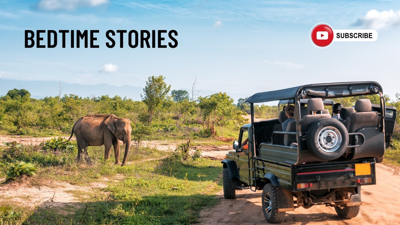 Bedtime Story: The Fish Lion Adventure