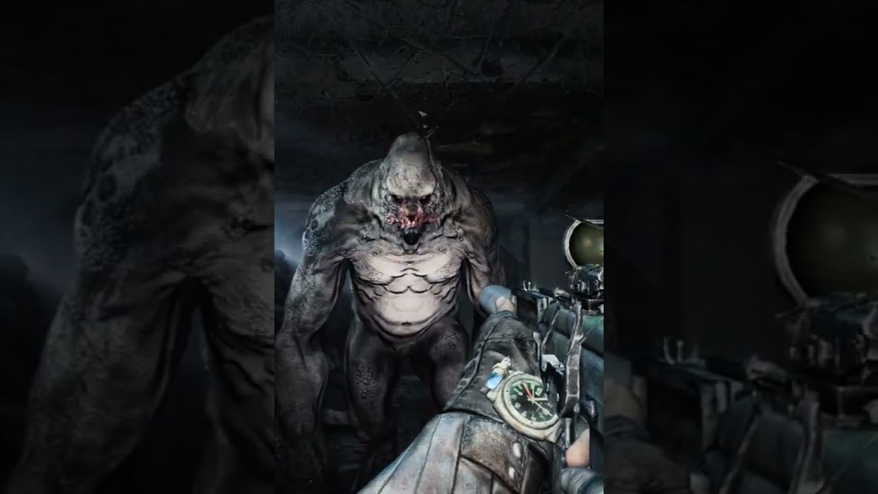 WTF with the librarians in metro 2033