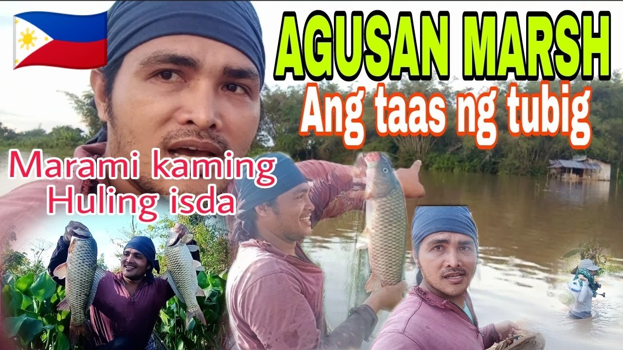 AGUSAN MARSH /Ang taas ng tubig ang daming isda sa agusan Marsh
