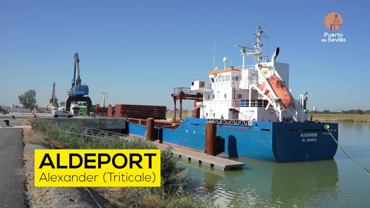El Puerto de Sevilla hoy: 26 de septiembre de 2025