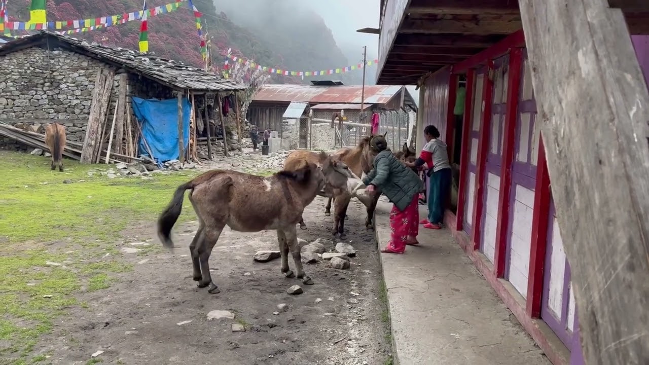 Khachchar and food