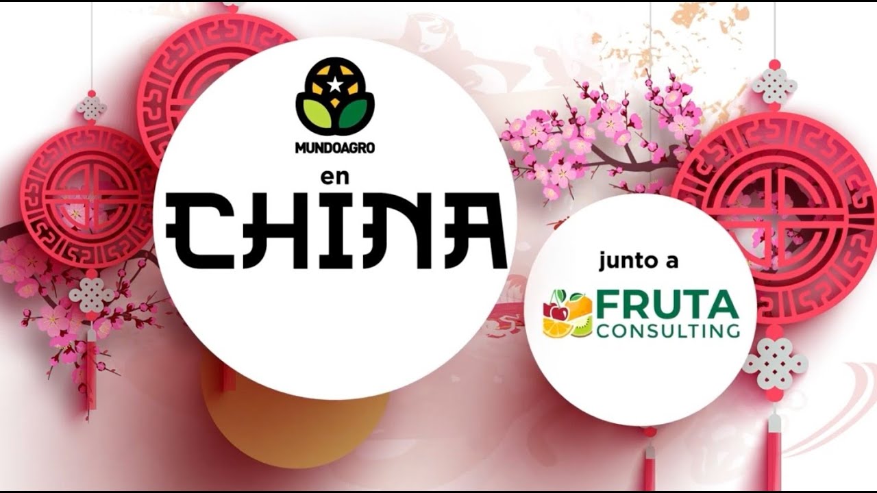 🎙️VODCAST | 🍒 Mundoagro en China. Capitulo 4 