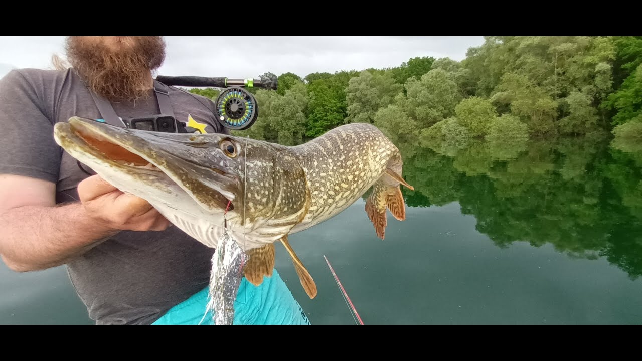 Pêche du GROS Brochet au streamer