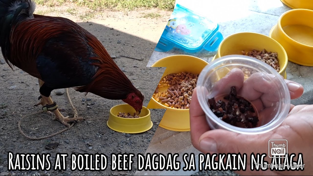 Protein and vitamin rich na pagkain para sapag develop ng muscles
