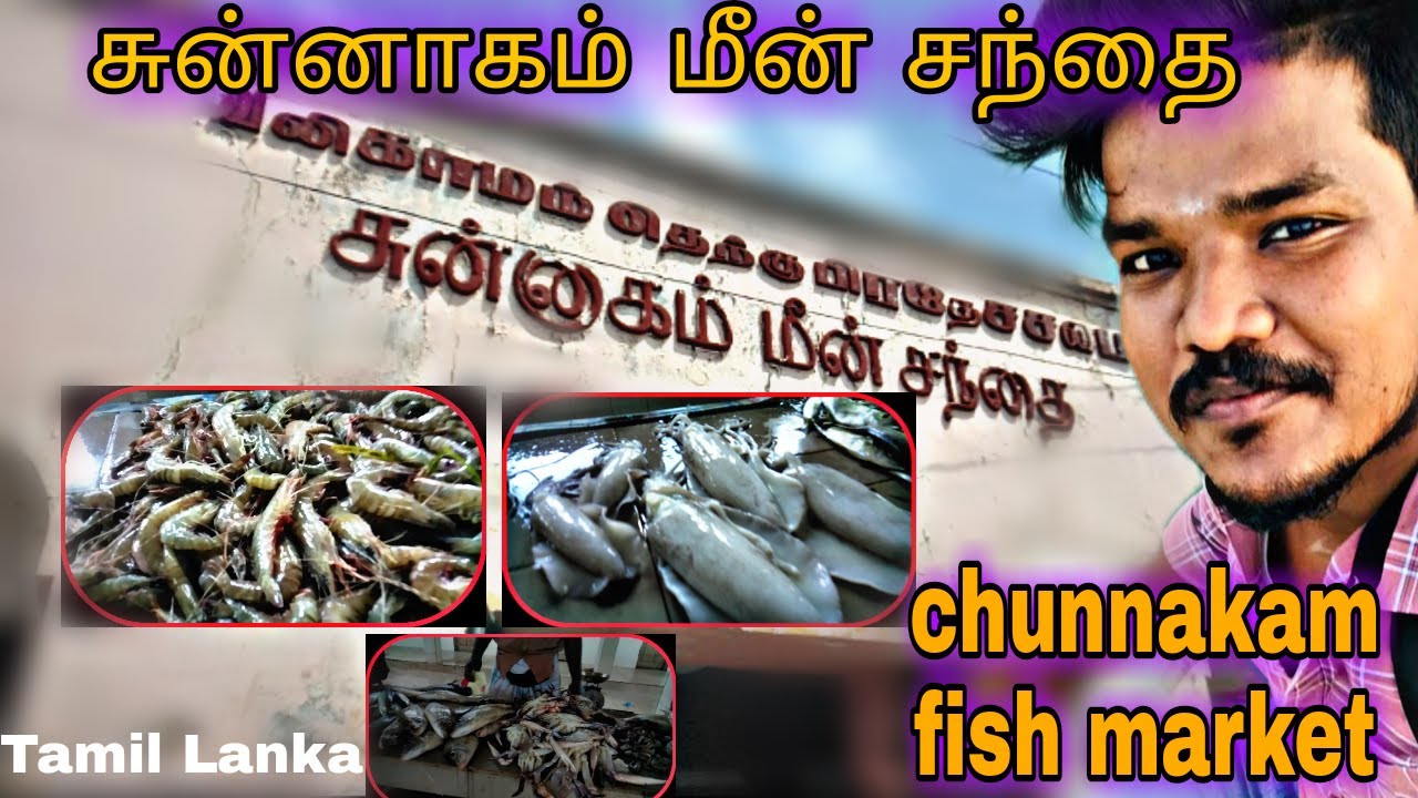 Chunnakam Fish Market | சுன்னாகம் மீன் சந்தை | Jaffna vlog | Tamil Lanka | Srilanka