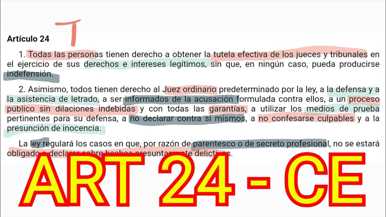 ARTÍCULO 24 - Constitución Española - Tutela judicial efectiva - OPOSICIONES
