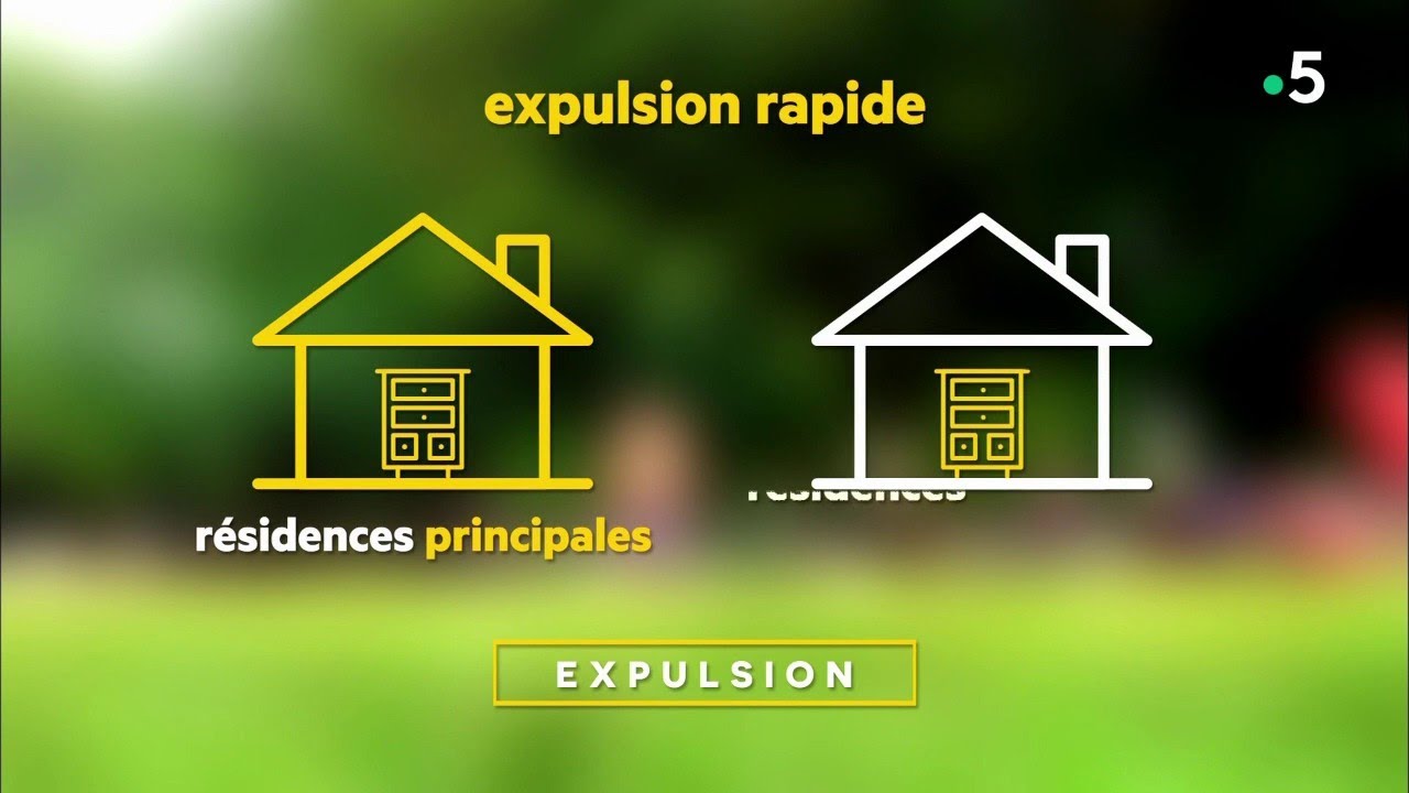 Squatteurs : ont-ils plus de droits que les propriétaires ?