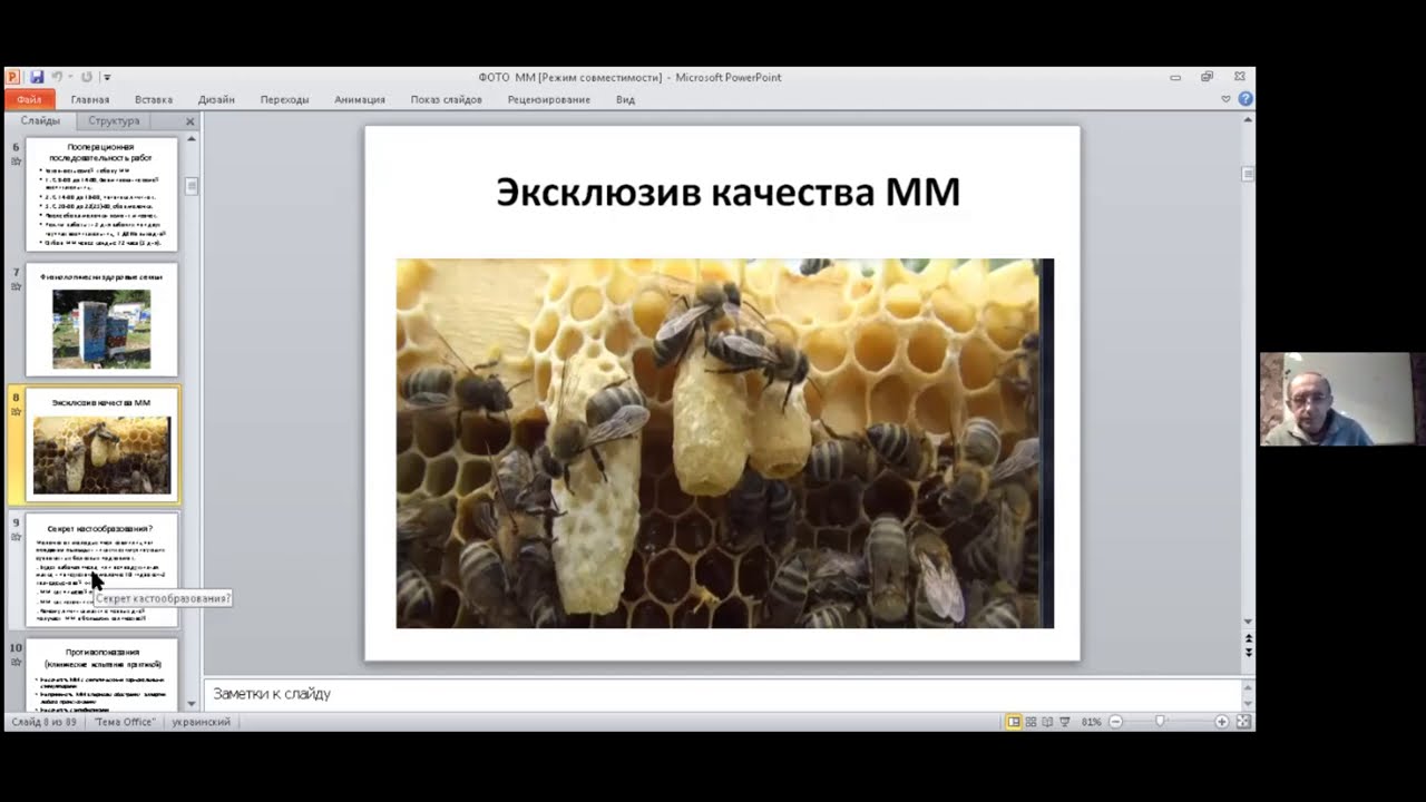 Презентация: 