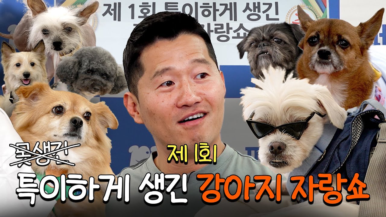제1회 못생긴 강아지 자랑쇼