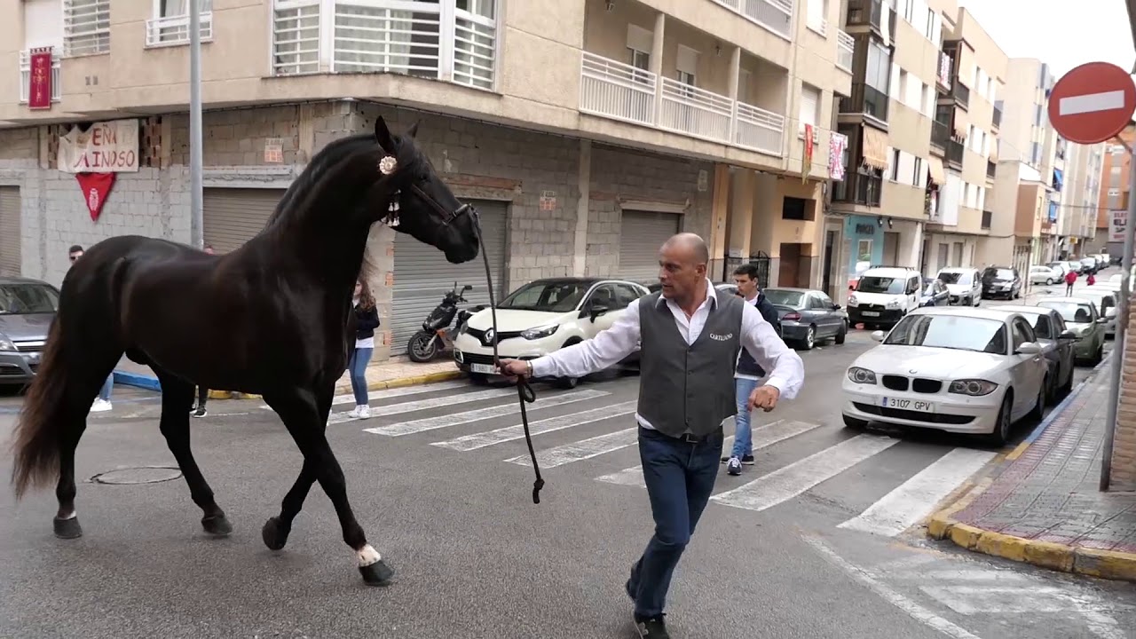 Caballos del Vino