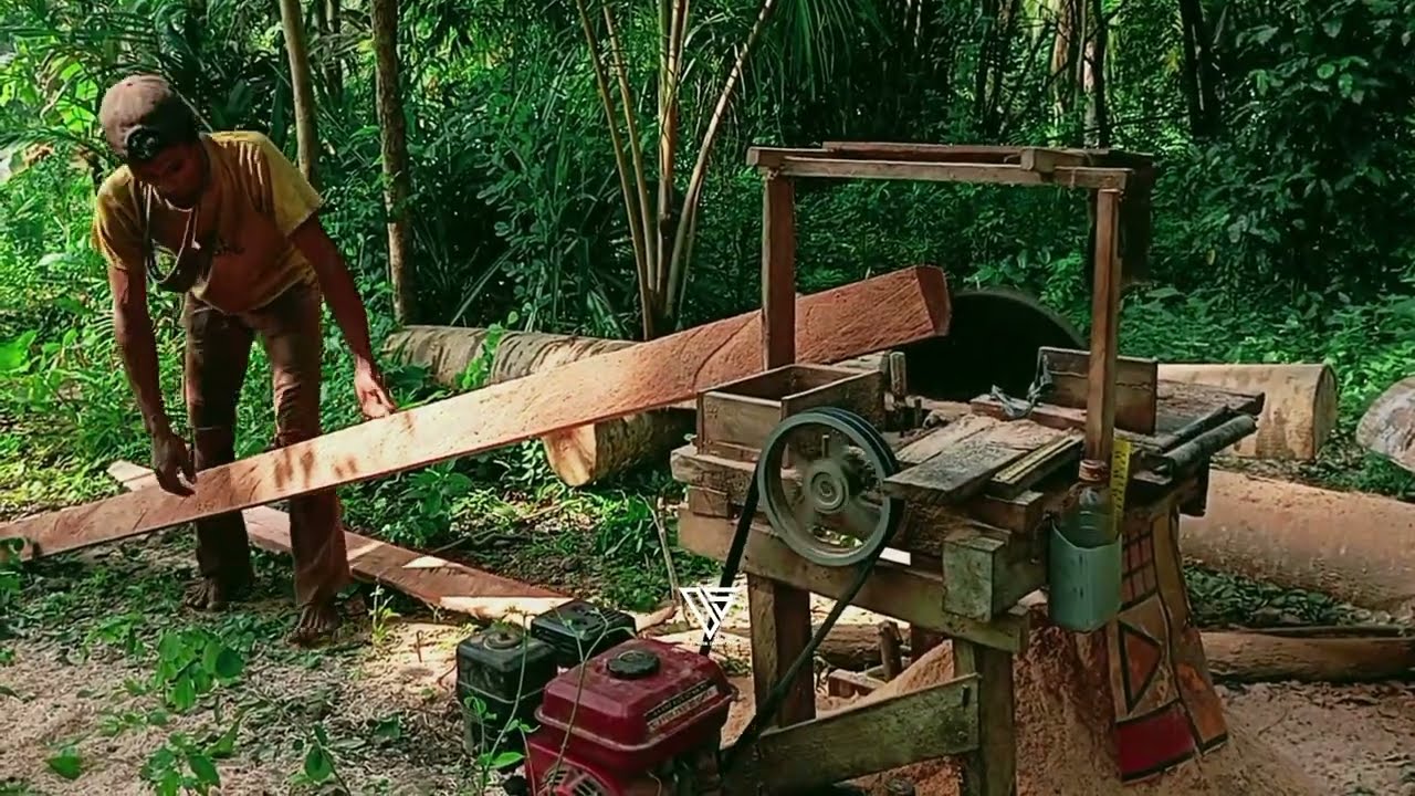 Splitting Coconut Wood❗