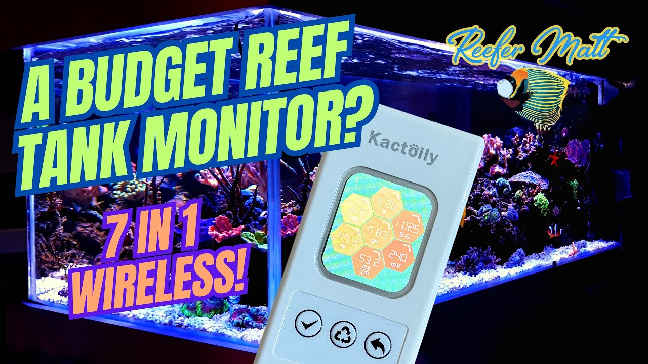 A Budget Reef Tank Monitor? The Kactoily 7 in 1 Wireless Aquarium Monitor!