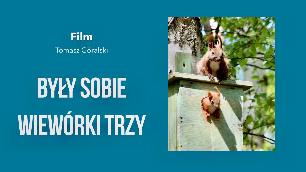 Były sobie wiewiórki trzy