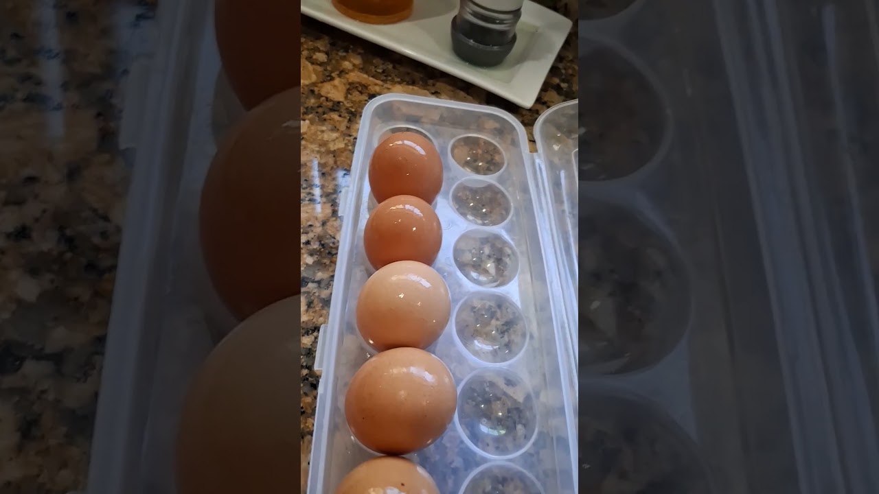 cleaned eggs  are more safe to  store and consume.