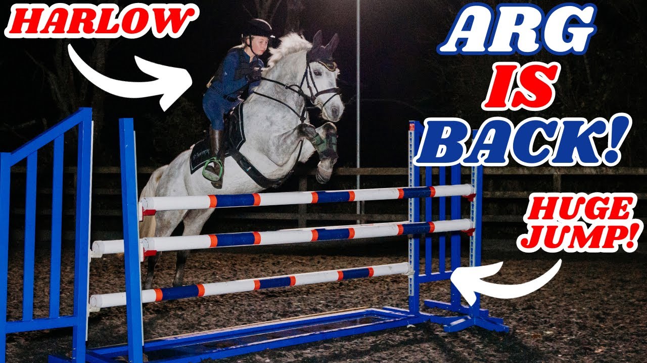 HARLOW JUMP'S ARG!! ВАУ! Лучший конкурный пони ростом 138 см