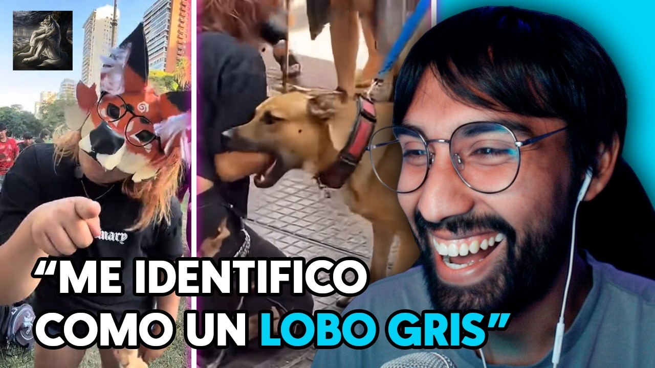 LOS THERIAN ESTÁN FUERA DE CONTROL (Reaccionando a TikToks) 🐺🐾