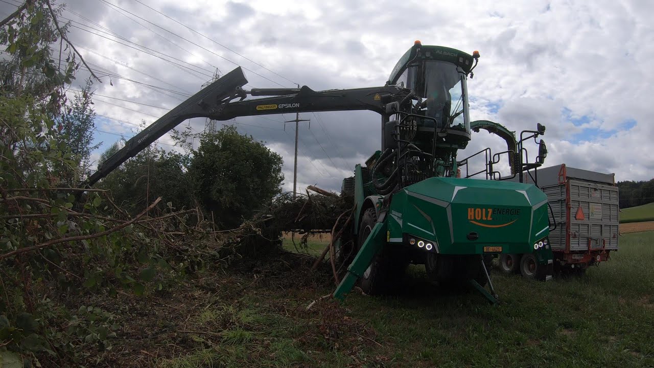 Holzhacken