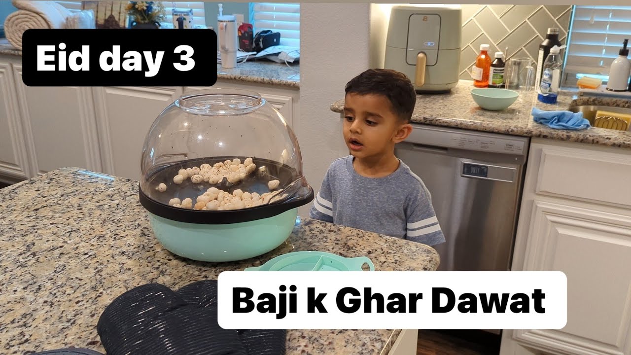 Eid Vlog | America main tree kaisy shred hoty?