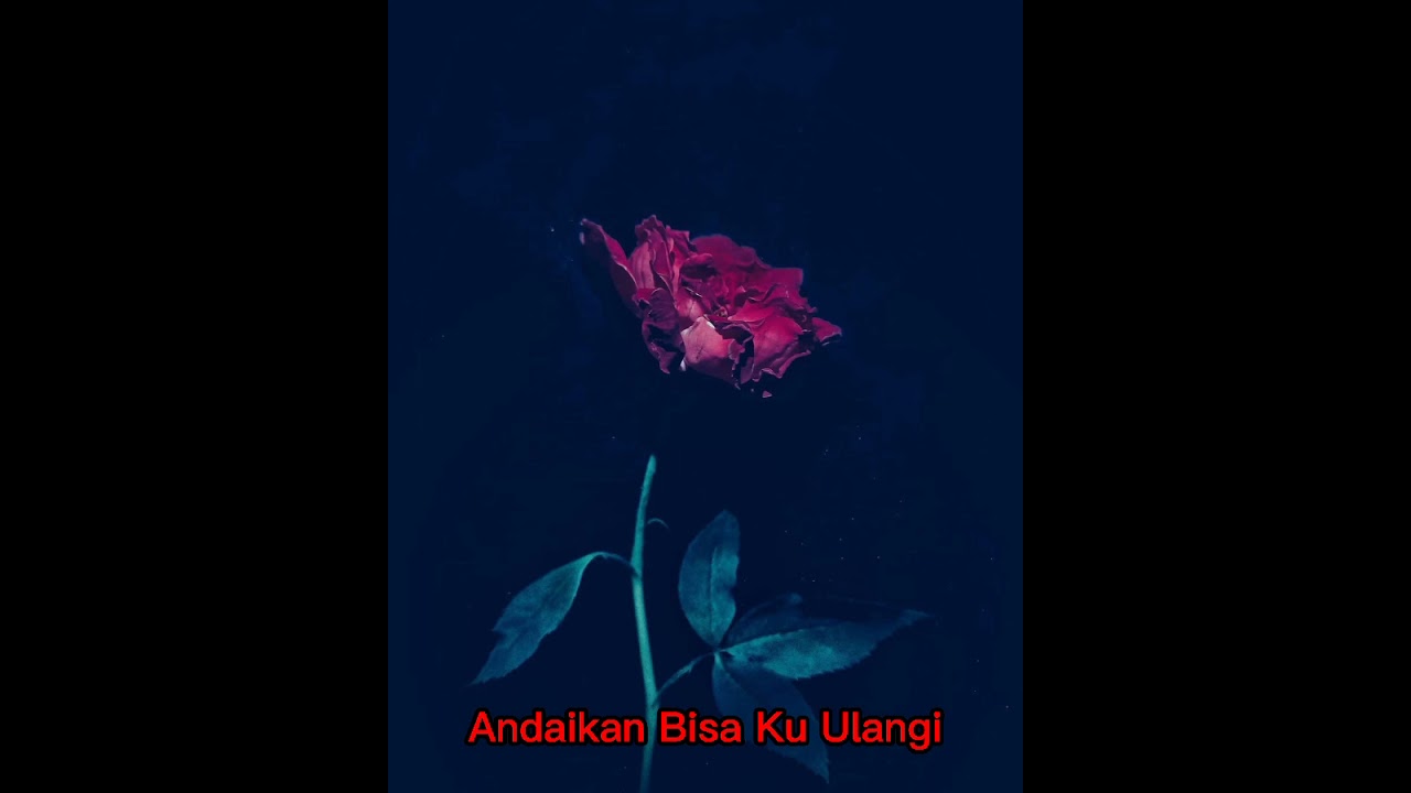 Aliando Ft Rassya - Cinta Sejati Hanya Sekali (Lyric)