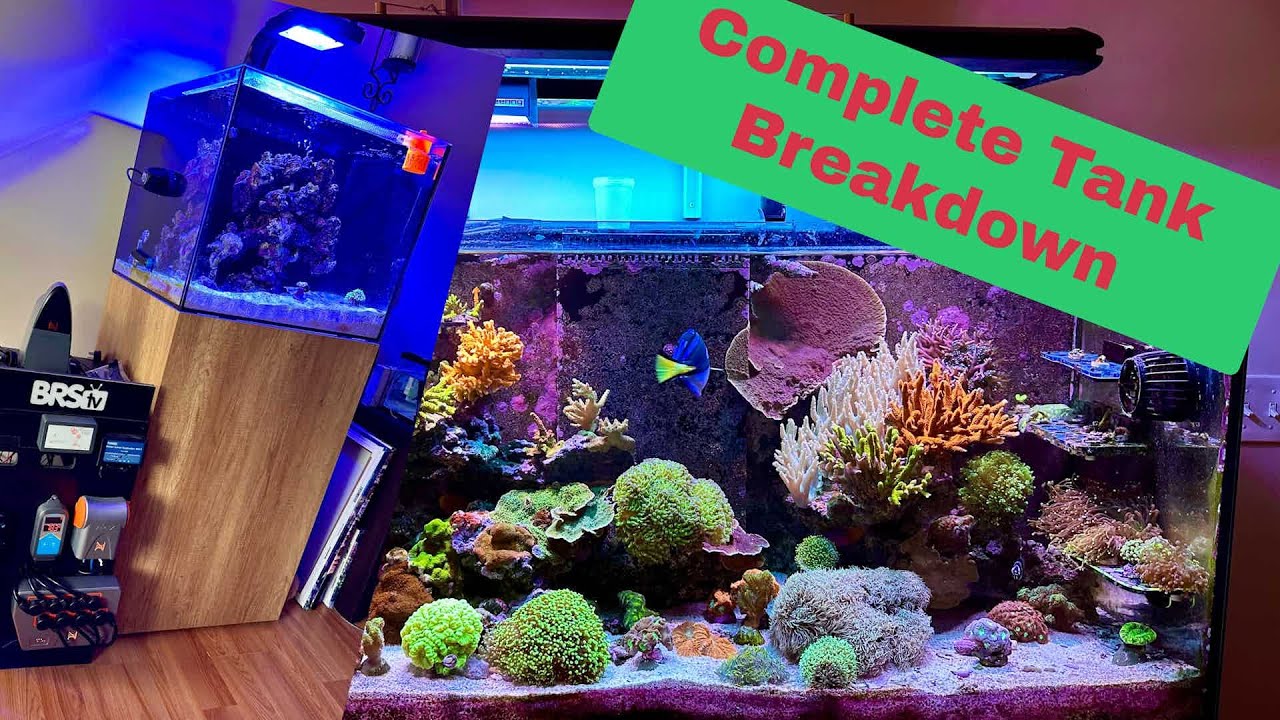 MAJOR Tank breakdown!  You Won't Believe Why...Big Changes Coming!