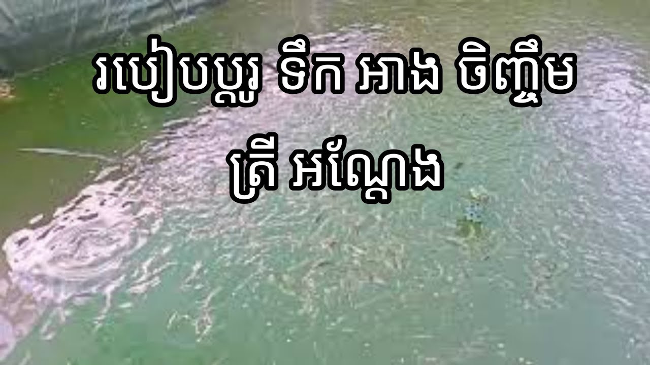 #Visit catfish |Sokun Kiry