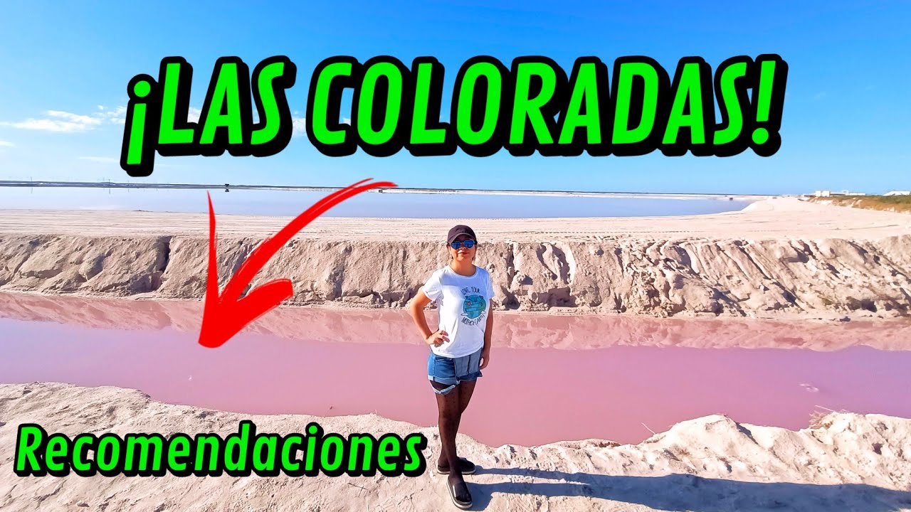 LAS COLORADAS YUCAT&Aacute;N - De los mejores lugares para visitar en Yucat&aacute;n 🏝🦩 #travel #yucat&aacute;n