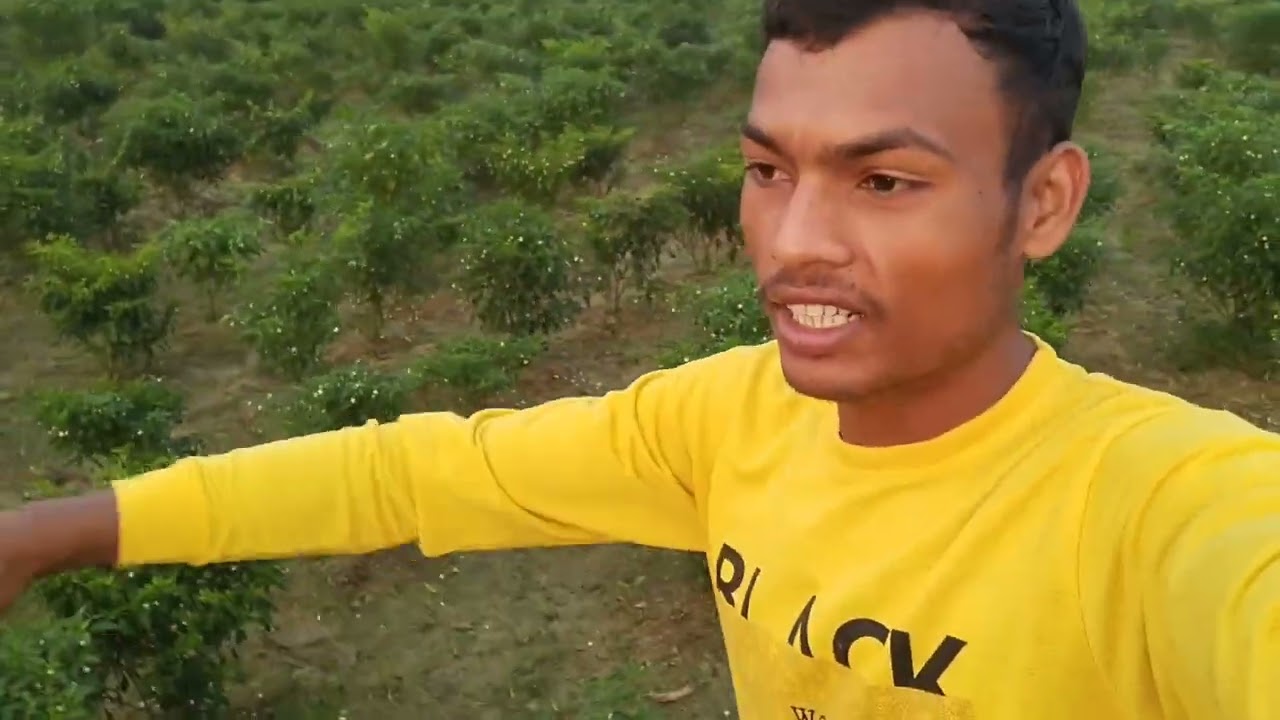 Lehsun ka khet kaise taiyar karen#new video #trendingvideo #Kkrj vlogs Up61 #lehsun ka khet