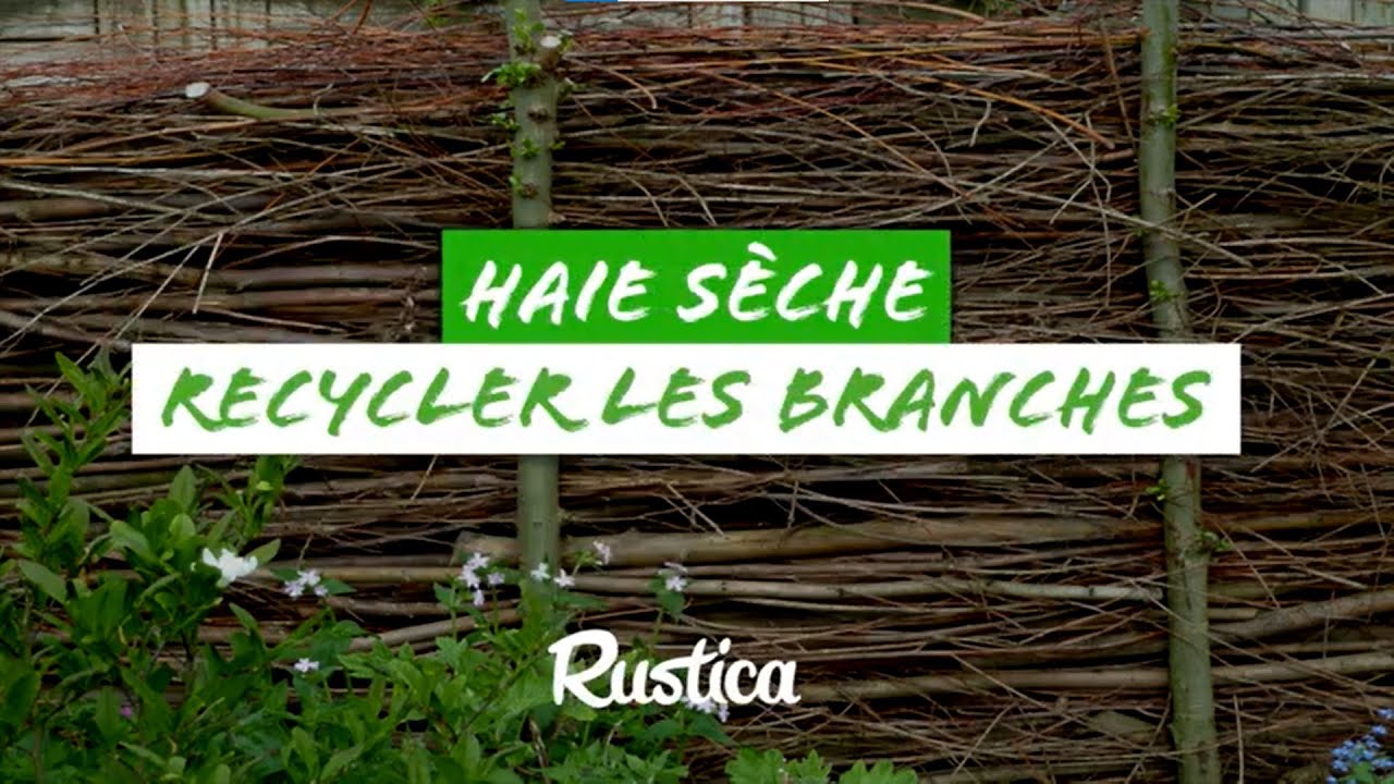 Haie sèche, recycler les branches