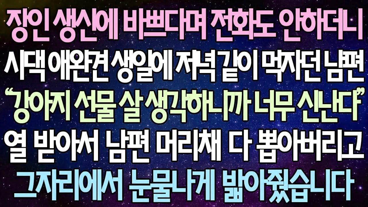 (반전 사연) 장인 생신에 바쁘다며 전화도 안하더니 시댁 애완견 생일에 저녁 같이 먹자던 남편 열 받아서 남편 머리채 다 뽑아버리고 그자리에서 눈물나게 밟아줬습니다 /사이다사연