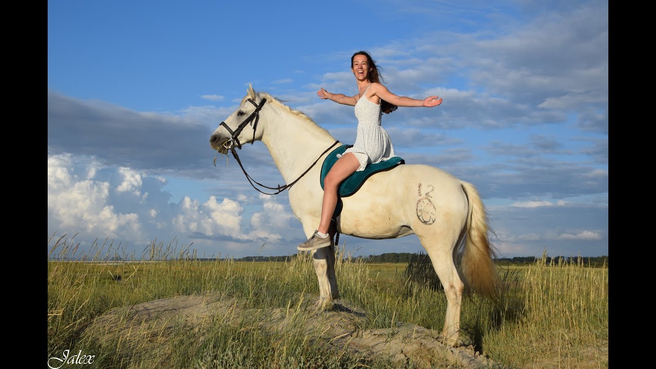 Isclo du Roure, Jument Camargue, 7 ans, extra randonneuse
