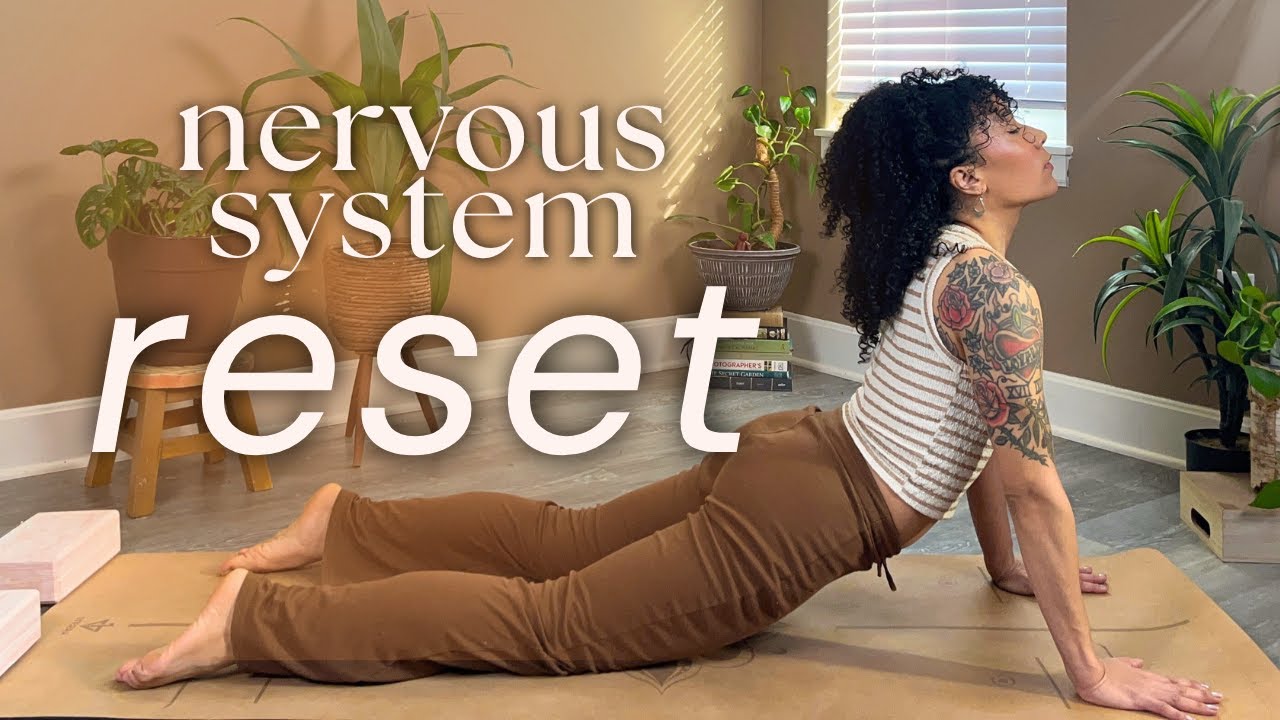 regulate nervous system flow ✧ full body yoga reset in 15 min