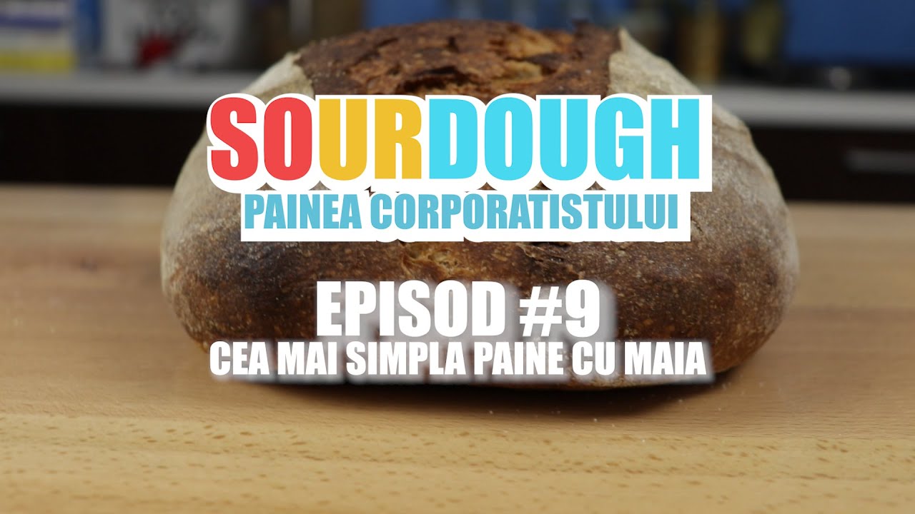 Painea corporatistului - Ep. 9 - Cea mai simpla paine cu maia de pana acum