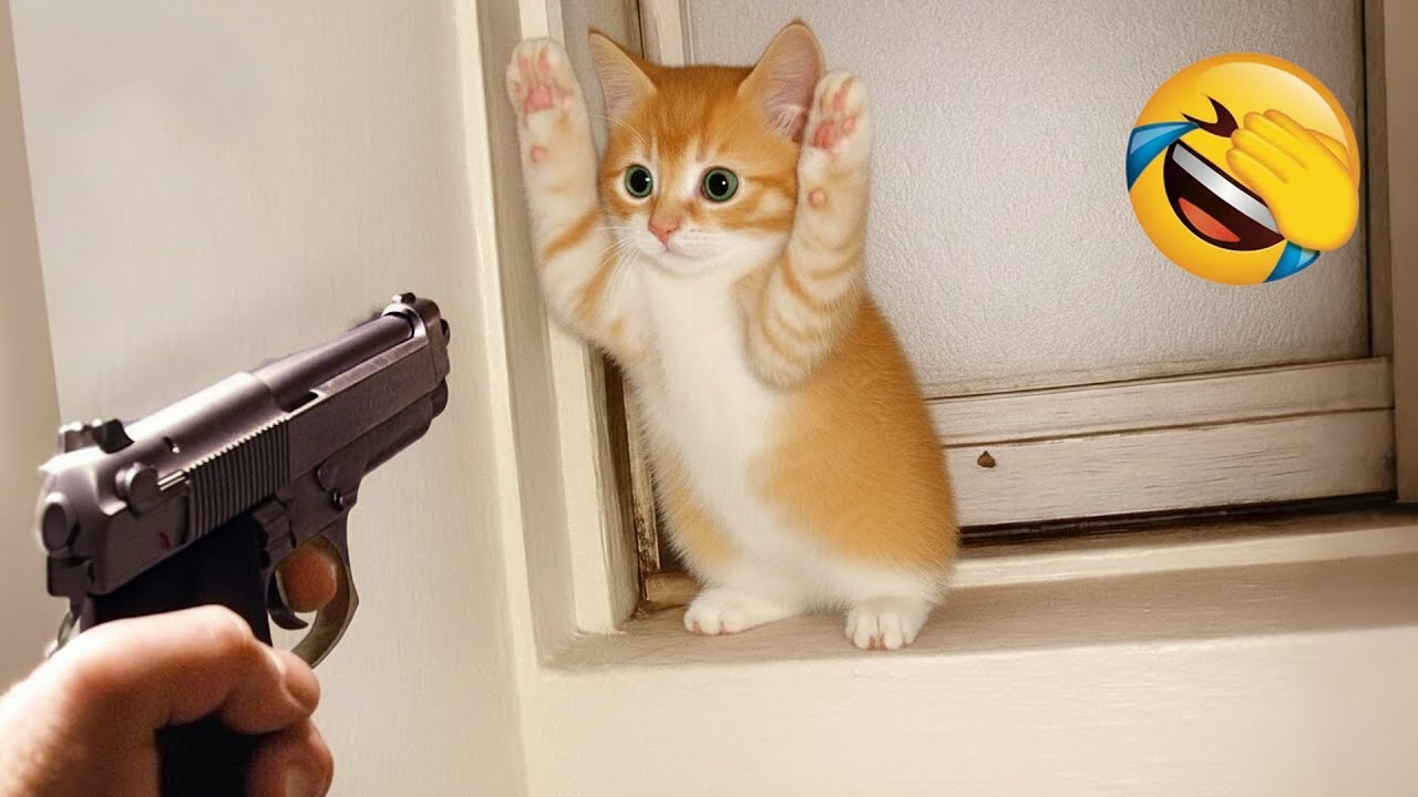 Попробуй не засмеяться 😅 Лучшие Смешные Собаки и Кошки 😹🐶 Часть 5