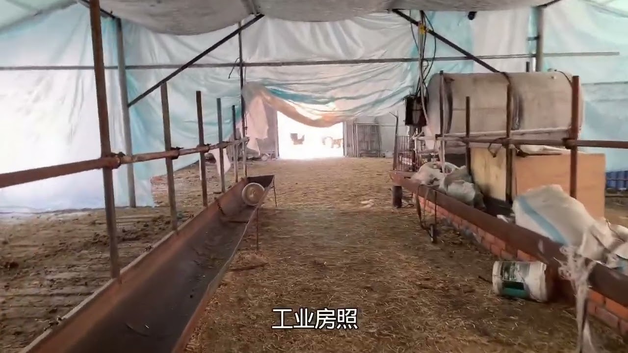 东北小镇，大型的工业厂房，适合养殖，位置不错。#东北的冬天 #养殖