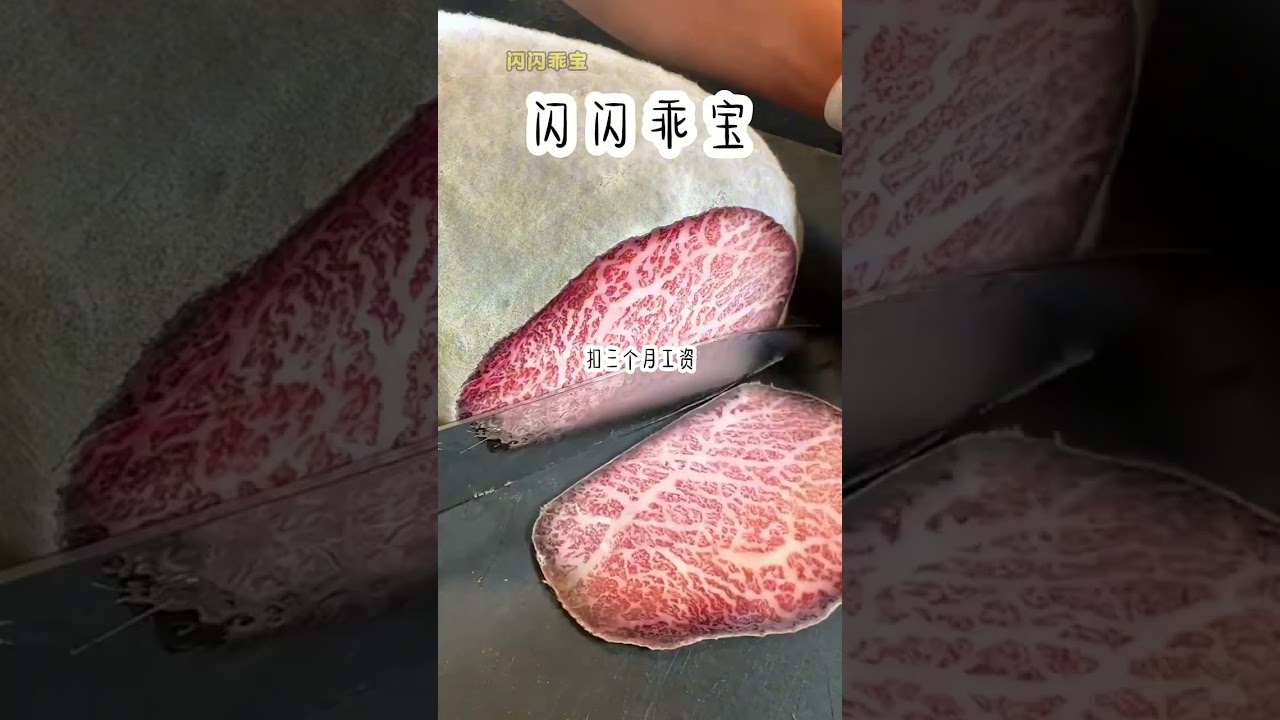 闪闪乖宝 ‖ 小说推文