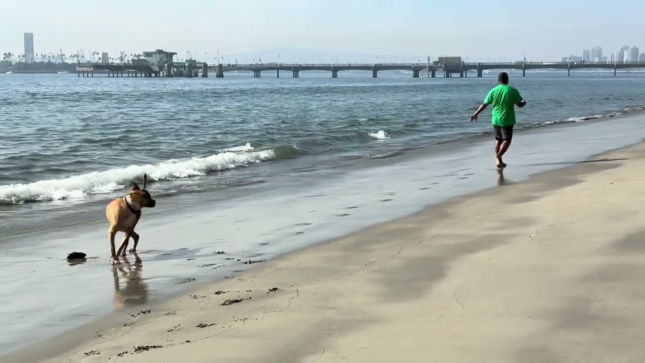 The fun time at the beach
