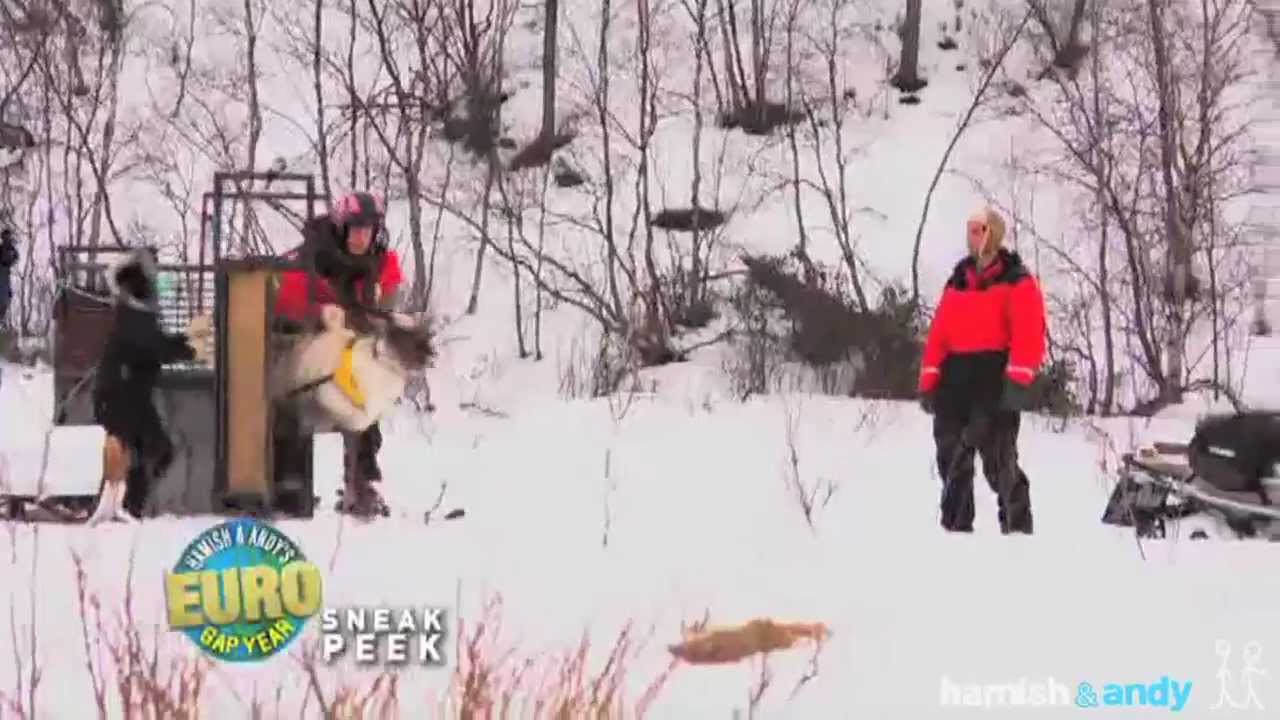 Reindeer Racing - Sneak Peek!