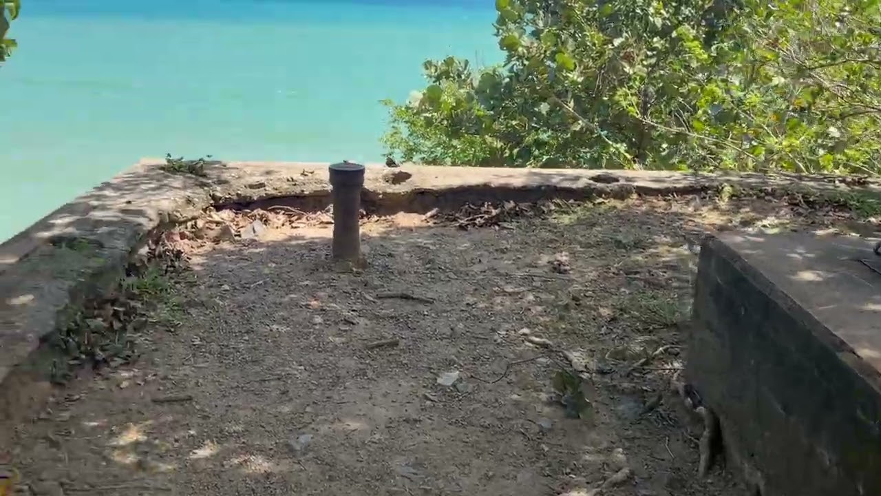 CAMINO PRINCIPAL A LOS BUNKERS DE LA RESERVA NATURAL DE HUMACAO